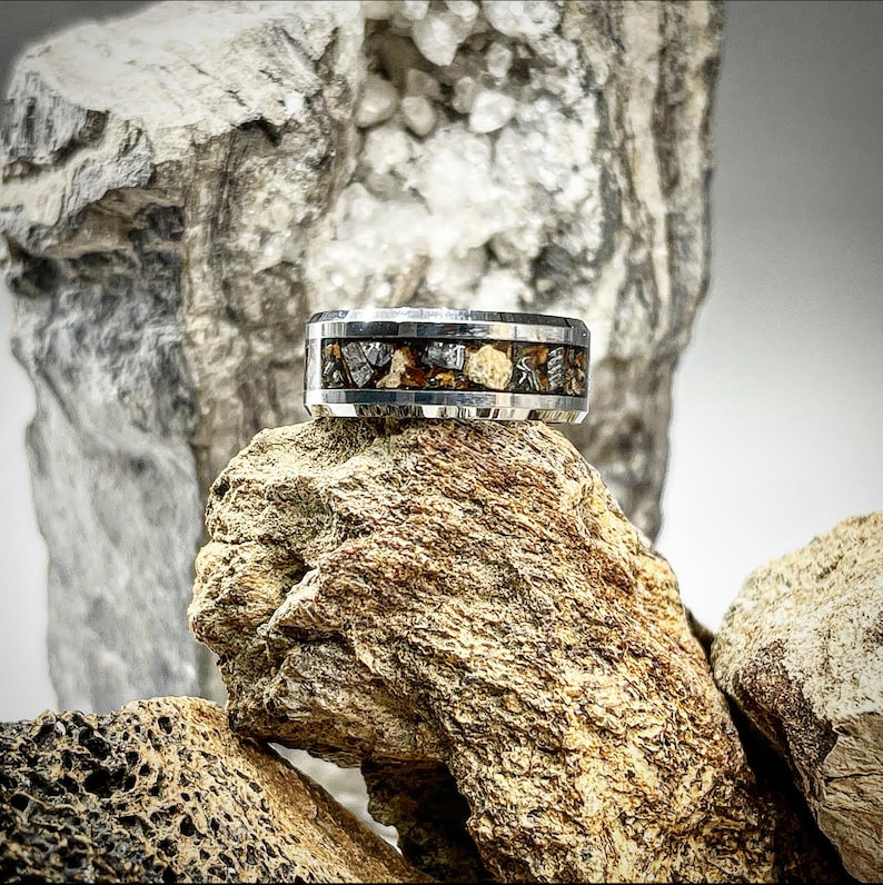 Lost World Triceratops Fossil Ring - Signature Series