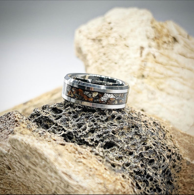 Lost World Triceratops Fossil Ring - Signature Series