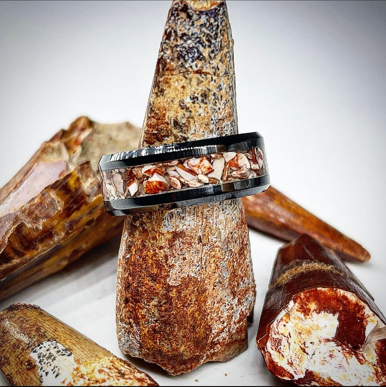 Ancient Edge Spinosaurus Tooth Ring - Classic Series