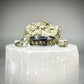 The Prospector Ring - Signature Series